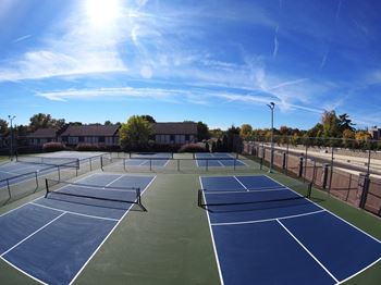 4 pickleball courts